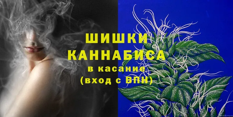 Шишки марихуана SATIVA & INDICA  darknet телеграм  Кирс 